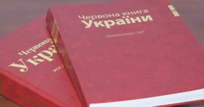 Рак, тритон, ящерица, суслик, угорь и другие: в Красную книгу Украины занесут новый перечень животных - tsn.ua