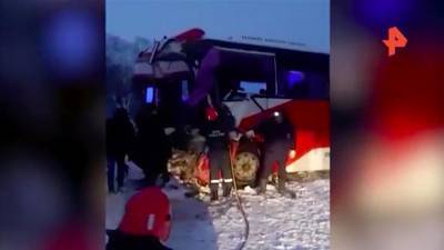 На Камчатке возбудили дело после смертельного ДТП с автобусами - iz.ru - Камчатский край