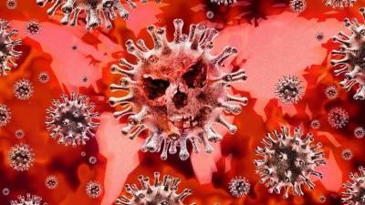 Врачи сообщили о первых случаях «вечного» инфицирования коронавирусом - 5-tv.ru - шт. Калифорния