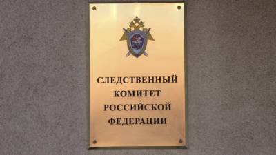 СК России завел дело из-за гибели двух человек в ДТП с автобусами на Камчатке - mir24.tv - Камчатский край - Петропавловск-Камчатский