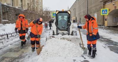 Роман Вильфанд - Москвичей в четверг ожидает снегопад - ren.tv - Москва