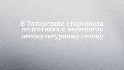 В Татарстане стартовала подготовка к весеннему лесокультурному сезону - chelny-izvest.ru - респ. Татарстан