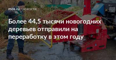 Более 44,5 тысячи новогодних деревьев отправили на переработку в этом году - mos.ru - Москва - Московская обл.