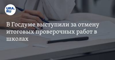 Елена Строкова - В Госдуме выступили за отмену итоговых проверочных работ в школах - ura.news