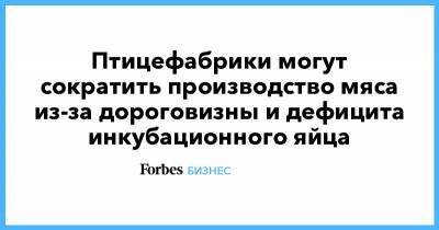 Дмитрий Патрушев - Птицефабрики могут сократить производство мяса из-за дороговизны и дефицита инкубационного яйца - forbes.ru