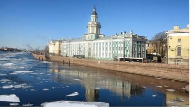 Михаил Леус - Весна взяла паузу в Петербурге - piter.tv - Ленинградская обл. - Санкт-Петербург