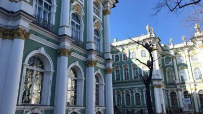 Молодой петербуржец предстанет перед судом за разрисованные стены Эрмитажа - piter.tv