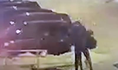 Поругались из-за оплаты. Ульяновский таксист избил приезжего парня - ulpravda.ru - Ульяновск - Брянская обл.