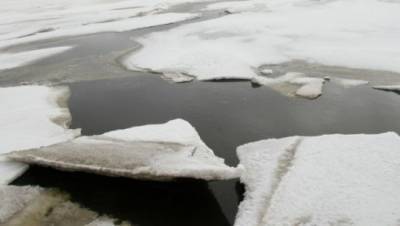 Вадим Наумов - Оторвавшуюся льдину с 12 рыболовами унесло в море на Сахалине - nation-news.ru - район Корсаковский