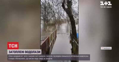 Во Львовской области из-за поднятия воды в реке затопило станцию спасателей - tsn.ua - Львовская обл.
