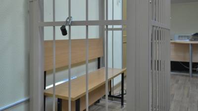 Подросткам из Саратовской области грозит срок за насилие над 11-летней девочкой - inforeactor.ru - Саратовская обл. - Аткарск