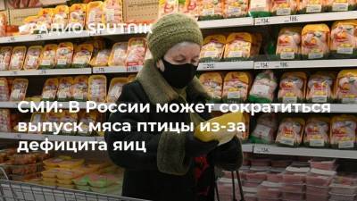 Дмитрий Патрушев - СМИ: В России может сократиться выпуск мяса птицы из-за дефицита яиц - smartmoney.one