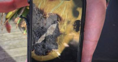 Ученый подал в суд на Apple за сгоревший в кармане iPhone (фото) - focus.ua - Австралия - Мельбурн