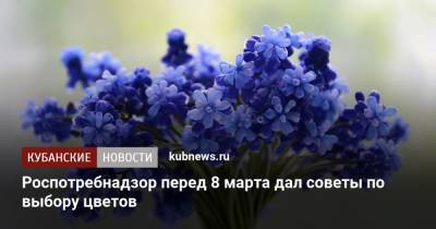 Роспотребнадзор перед 8 марта дал советы по выбору цветов - kubnews.ru
