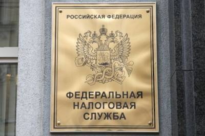 ФНС обнародовала план на 2021 год - aif.ru