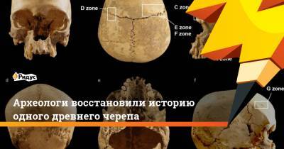 Археологи восстановили историю одного древнего черепа - ridus.ru