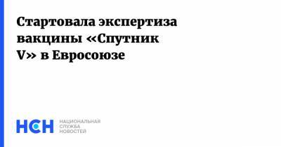 Кирилл Дмитриев - Стартовала экспертиза вакцины «Спутник V» в Евросоюзе - nsn.fm - Россия