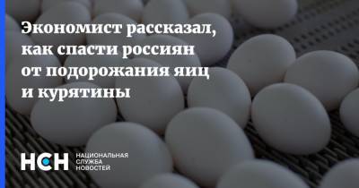 Экономист рассказал, как спасти россиян от подорожания яиц и курятины - nsn.fm