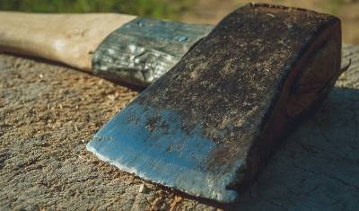 Зарубила топором: тюменку осудили на 10 лет за убийство дочери - nashgorod.ru - Тюмень