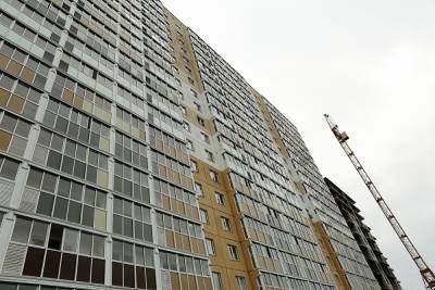 Наталья Мамаева - В Челябинске родственника Сребрянского будут судить за обман дольщиков на ₽3,8 млрд - znak.com - Челябинская обл. - Челябинск - Копейск