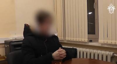 В Екатеринбурге задержан пермский подросток, зарубивший топором мать, отца и сестру - znak.com - Екатеринбург - Пермский край