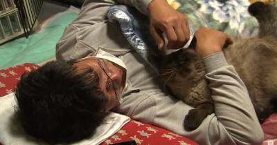 Мужчина остался в зараженной зоне у атомной электростанции Фукусима, чтобы спасать котов - focus.ua - Япония