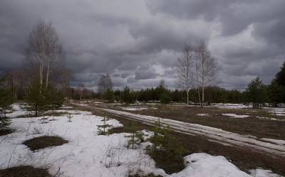 В Смоленской области похолодает до -10°C - rabochy-put.ru - Смоленск - Смоленская обл.