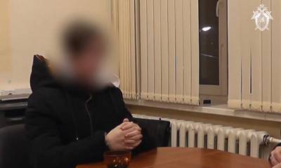 Правоохранители задержали подростка, зарубившего топором родителей и сестру - og.ru - Екатеринбург - Пермский край