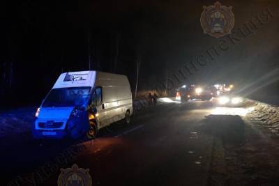 3 марта под Тулой автофургон сбил идущего по середине дороги мужчину - tula.mk.ru - Тула - Тульская обл.