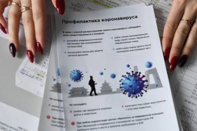 Михаил Мишустин - Вероника Скворцова - Мишустин: риски, связанные с COVID-19, могут быть минимизированы в РФ к осени - interfax-russia.ru - Кызыл