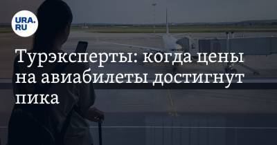 Алексан Мкртчян - Турэксперты: когда цены на авиабилеты достигнут пика - ura.news