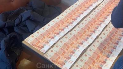 Мужчина добровольно признался в том, что хранил фальшивые деньги в Пушкине - piter.tv - Санкт-Петербург - Пушкин