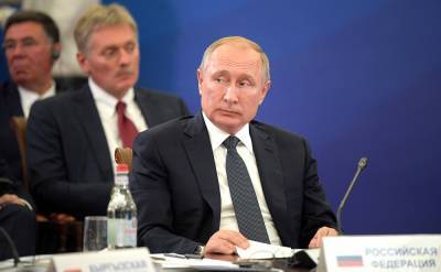 Владимир Путин - Дмитрий Песков - Песков разъяснил высказывание Путина о "хорьковых" целях - tvc.ru