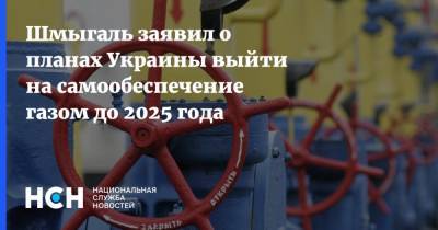 Андрей Коболев - Денис Шмыгаль - Шмыгаль заявил о планах Украины выйти на самообеспечение газом до 2025 года - nsn.fm - Украина - Киев