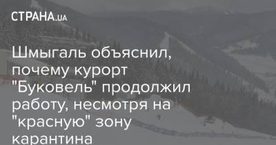 Денис Шмыгаль - Шмыгаль объяснил, почему курорт "Буковель" продолжил работу, несмотря на "красную" зону карантина - strana.ua - Ивано-Франковская обл. - Премьер