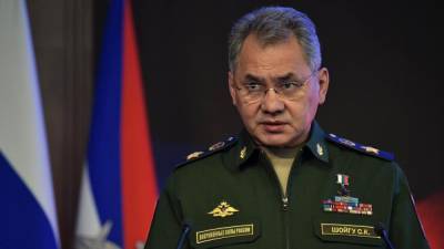 Сергей Шойгу - Владимир Путин - Шойгу рассказал о санэпидобстановке в ВС РФ с учетом пандемии COVID-19 - nation-news.ru