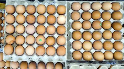 Никита Масленников - Эксперт прокомментировал ситуацию с ценами на мясо птиц и яйца - russian.rt.com