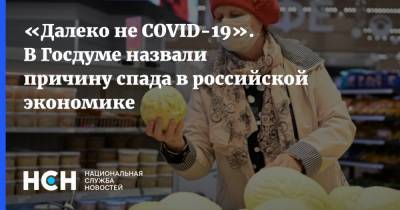 Сергей Калашников - «Далеко не COVID-19». В Госдуме назвали причину спада в российской экономике - nsn.fm