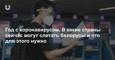 Год с коронавирусом. В какие страны сейчас могут слетать белорусы и что для этого нужно - news.tut.by - Россия - Армения
