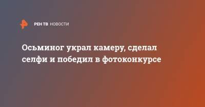 Осьминог украл камеру, сделал селфи и победил в фотоконкурсе - ren.tv - Австралия