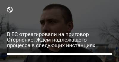 Сергей Стерненко - В ЕС отреагировали на приговор Стерненко: Ждем надлежащего процесса в следующих инстанциях - liga.net