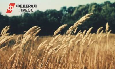 Вениамин Кондратьев - Краснодарский край получит деньги на агрострахование - fedpress.ru - Сочи - Краснодарский край - Краснодар