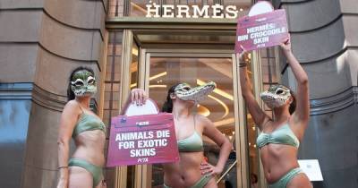 Джейн Биркин - У магазинов Hermes начались протесты против использования шкур крокодилов для сумочек - focus.ua - Токио - Австралия - Лондон - Париж