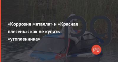 А.С.Пушкин - «Коррозия металла» и «Красная плесень»: как не купить «утопленника» - thepage.ua - США