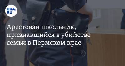 Арестован школьник, признавшийся в убийстве семьи в Пермском крае - ura.news - Пермский край