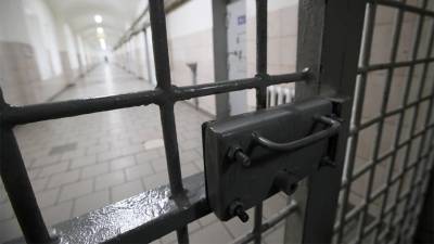 Суд арестовал подозреваемого в убийстве семьи подростка из Пермского края - iz.ru - Пермский край