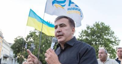 Владимир Зеленский - Михаил Саакашвили - Зеленский лишил Саакашвили членства в совете по градостроительству - dsnews.ua - Грузия
