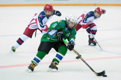 Илья Авербух - В Ставрополе откроют школу зимних видов спорта - etokavkaz.ru
