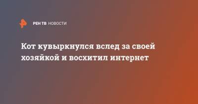 Кот кувыркнулся вслед за своей хозяйкой и восхитил интернет - ren.tv
