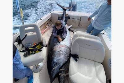 Вирджиния - Рыболов поймал огромного 450-килограммового тунца и сломал весы - lenta.ru - шт.Северная Каролина